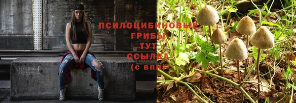 винт Арсеньев
