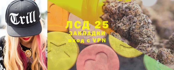 крисы Новодвинск