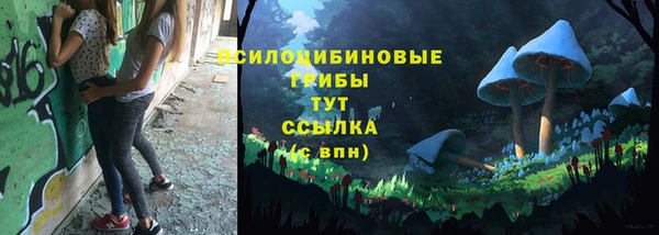 jwh Аркадак