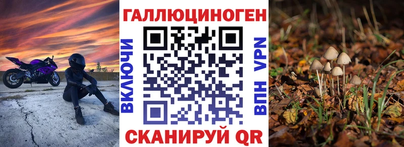 где можно купить наркотик  Ленск  Псилоцибиновые грибы GOLDEN TEACHER 
